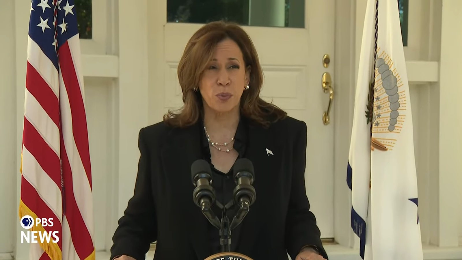 Kamala Harris giving a lie-filled speech.